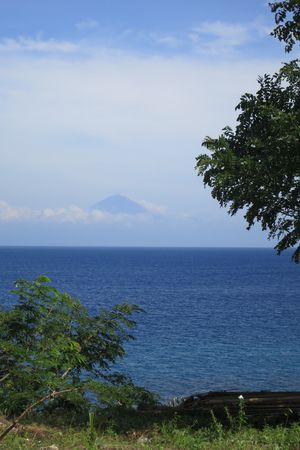 c0148238_1205832.jpg