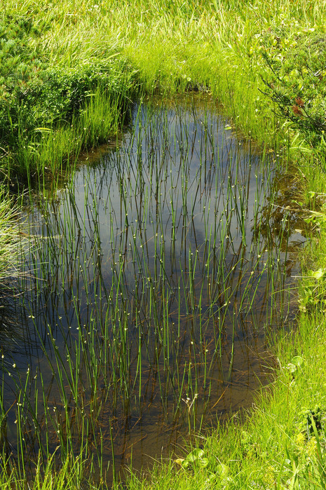 d0237340_16404722.jpg
