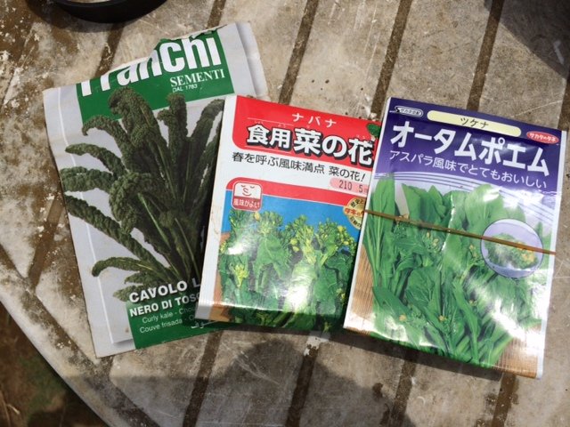 カーヴォロネーロ＆菜の花の播種_c0222448_12533794.jpg