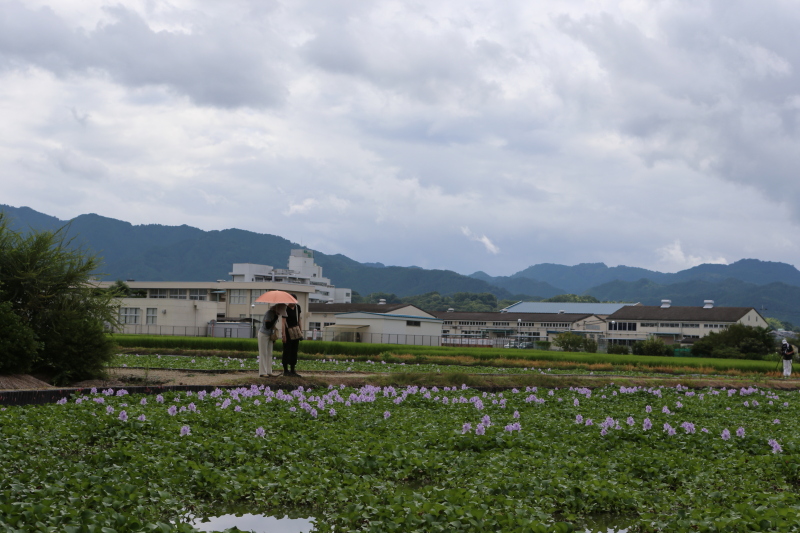 c0272958_1853410.jpg