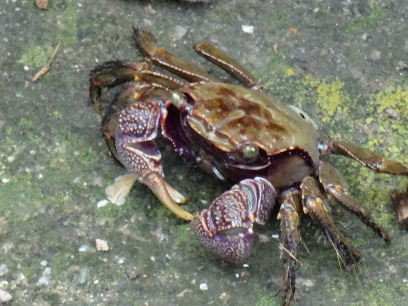 c0108460_14510306.jpg