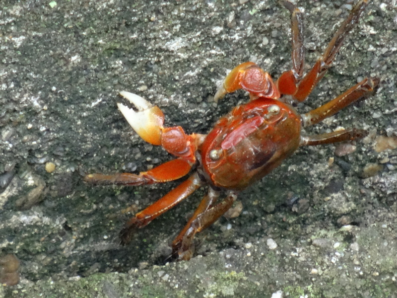 c0108460_14510376.jpg