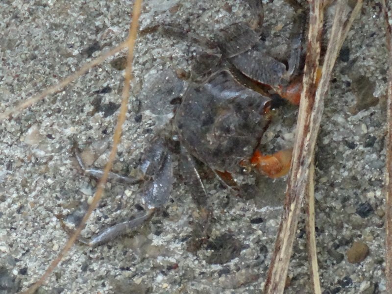 c0108460_14510527.jpg