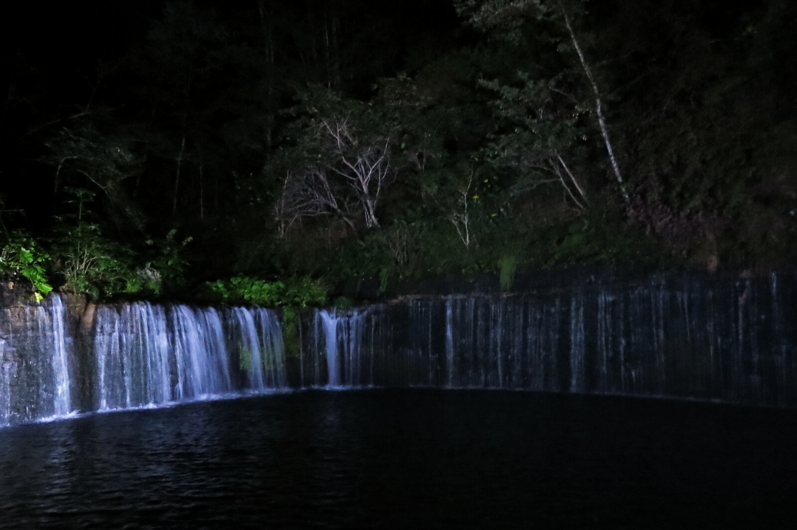 f0236260_17887.jpg