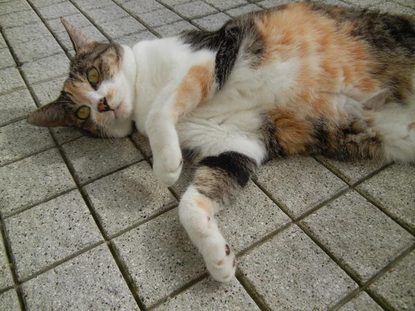 ’14,8,24(日)夏の終わりに・・・!_f0060461_8485883.jpg