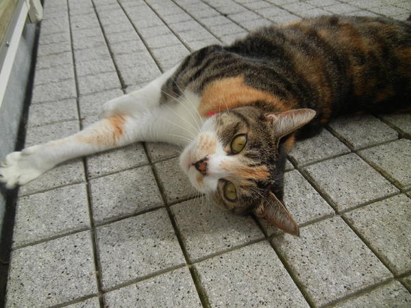 ’14,8,24(日)夏の終わりに・・・!_f0060461_8501022.jpg