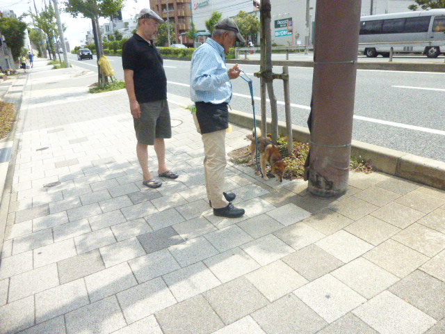 まだしばらく暑いです。ポポンタ_f0205367_1826582.jpg