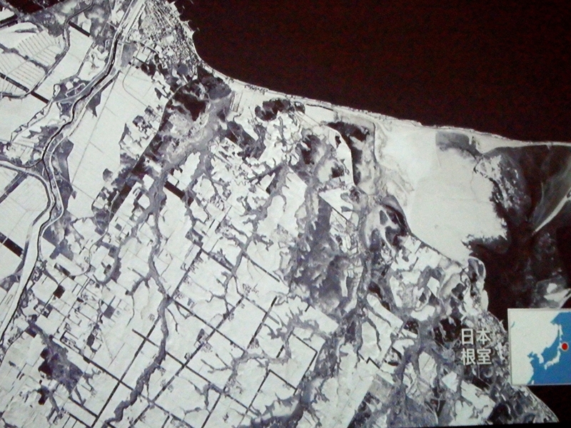 d0031171_93978.jpg