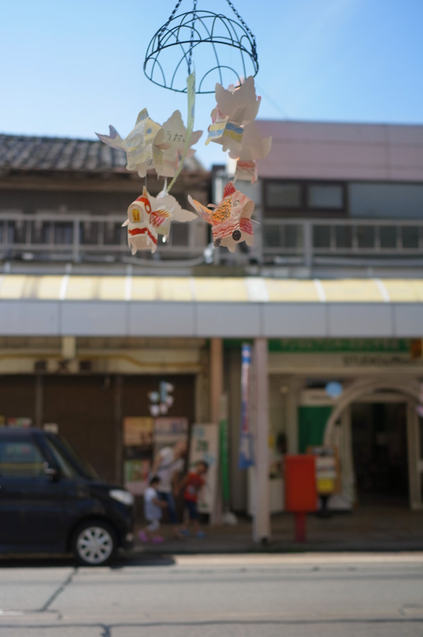空飛ぶタイグルマ君_e0082981_10514610.jpg