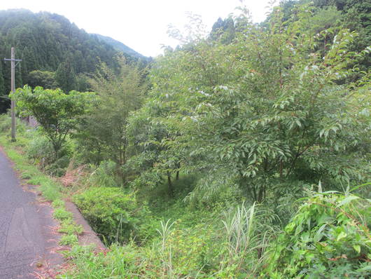 e0266183_11564269.jpg