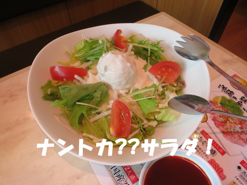 水やり地獄！_b0200291_22225287.jpg