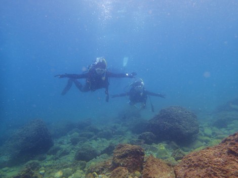e0115199_20164366.jpg