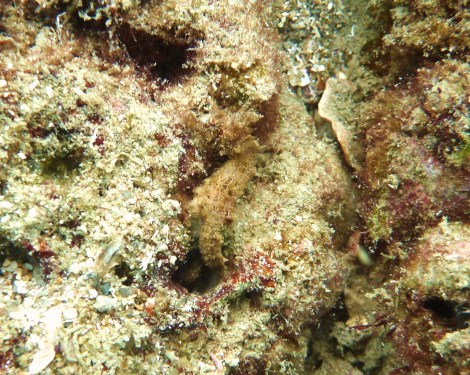 e0115199_20312440.jpg