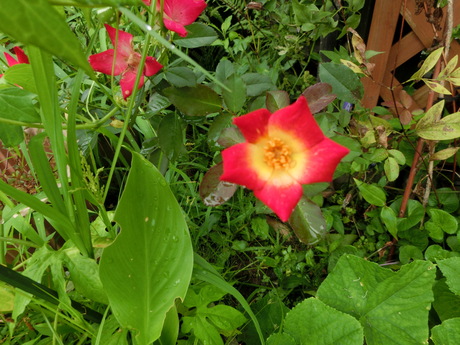 a0203003_13373233.jpg