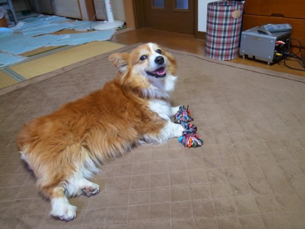 f0329311_10503.jpg