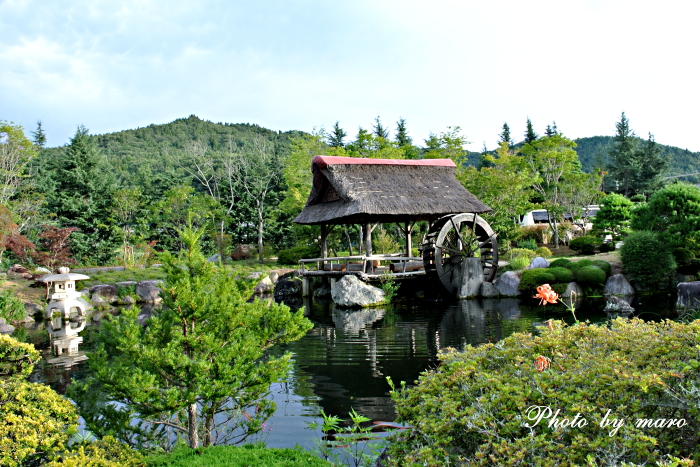 忍野八海で朝散歩♪♪_e0160417_13281188.jpg