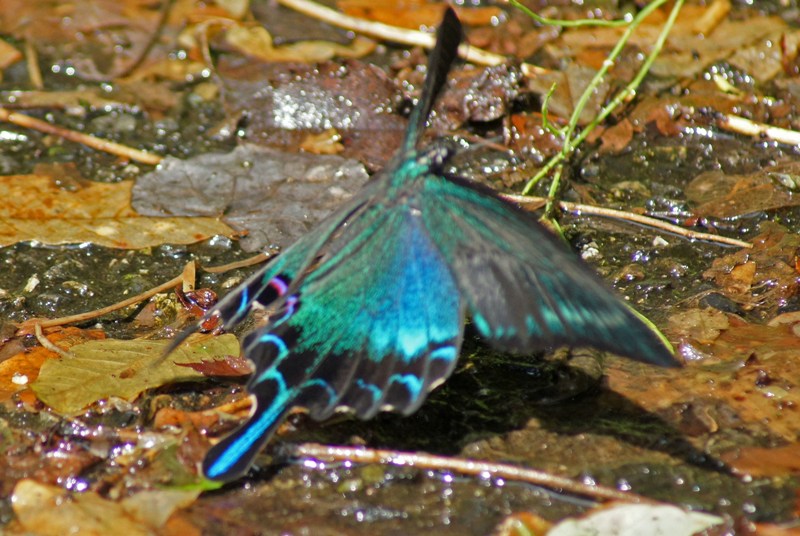 c0042418_154122100.jpg