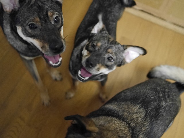 f0282319_2037975.jpg