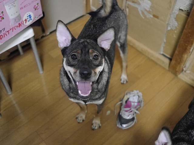 f0282319_2039317.jpg