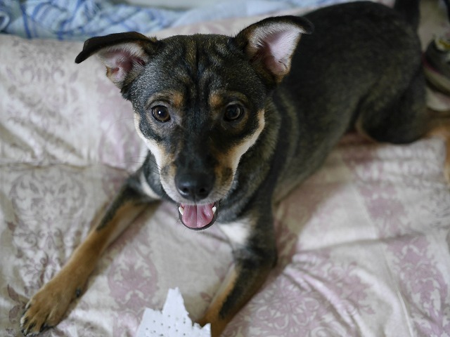 f0282319_20403789.jpg