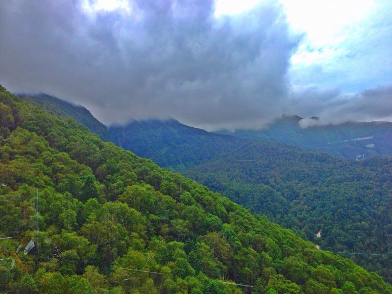b0333524_713253.jpg