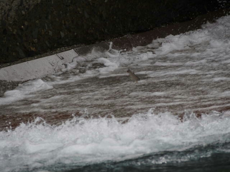 a0270125_744332.jpg