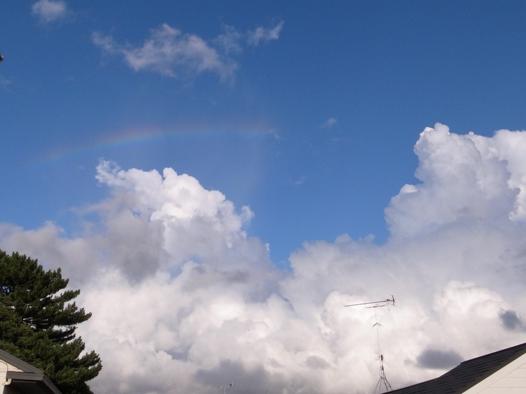 a0063128_13303460.jpg