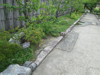 京都・渉成園の風景（その１）_c0034228_2230138.jpg