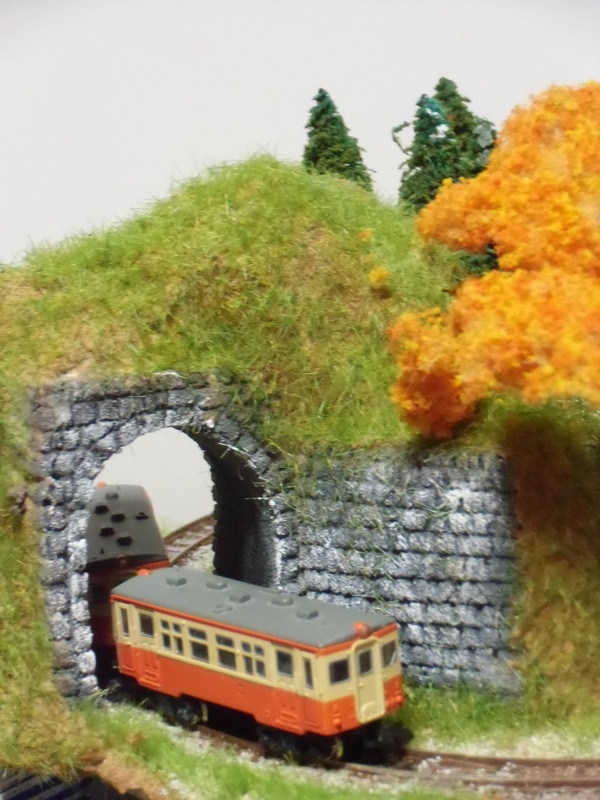 盆ラマ 「里山 トンネルにて、」2014年記事から再掲載_f0227828_1356372.jpg