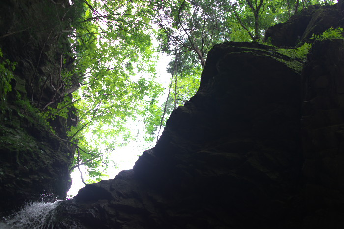 c0189533_55978.jpg