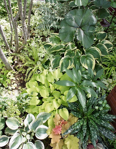f0205733_17103388.jpg