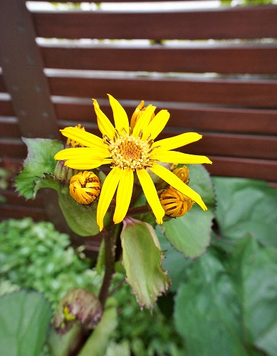 f0205733_17104053.jpg