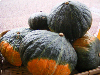 a0244943_90978.jpg