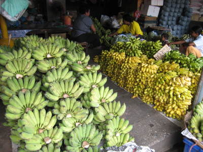 タイの食卓を支えるクロントイ_b0126549_15550862.jpg