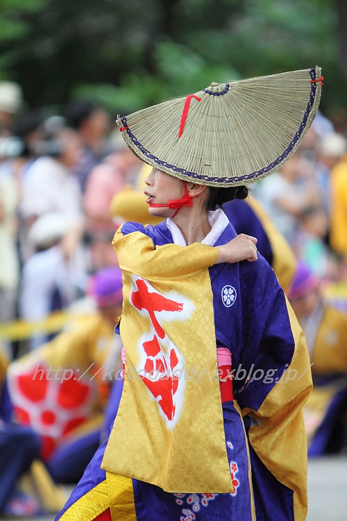 原宿スーパーよさこい Part 2  ～十人十彩_c0152553_17531085.jpg