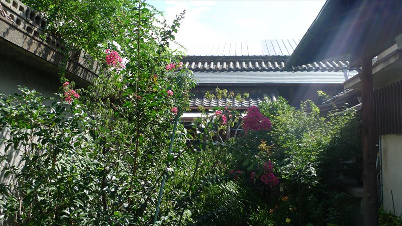 河内国分本町の街並み_f0139570_18254947.jpg