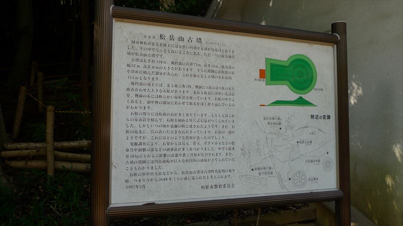 河内国分本町の街並み_f0139570_18524195.jpg