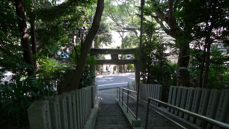 河内国分本町の街並み_f0139570_18573790.jpg