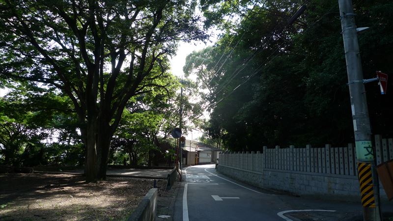 河内国分本町の街並み_f0139570_18591783.jpg