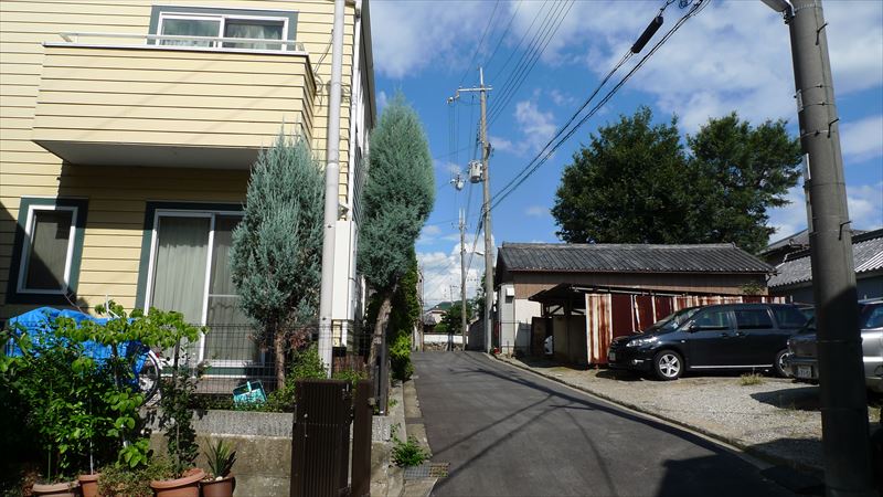 河内国分本町の街並み_f0139570_19144018.jpg