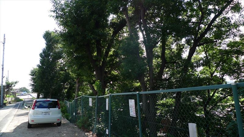 河内国分本町の街並み_f0139570_19153790.jpg