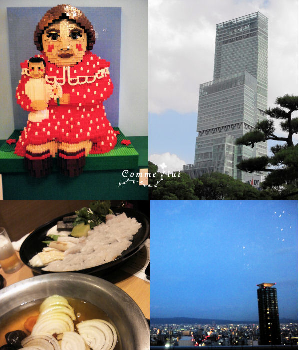 ローズBouquetと夏の徒然_a0192475_14393848.jpg