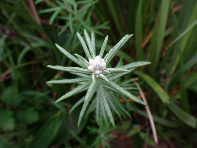 d0182075_50553.jpg