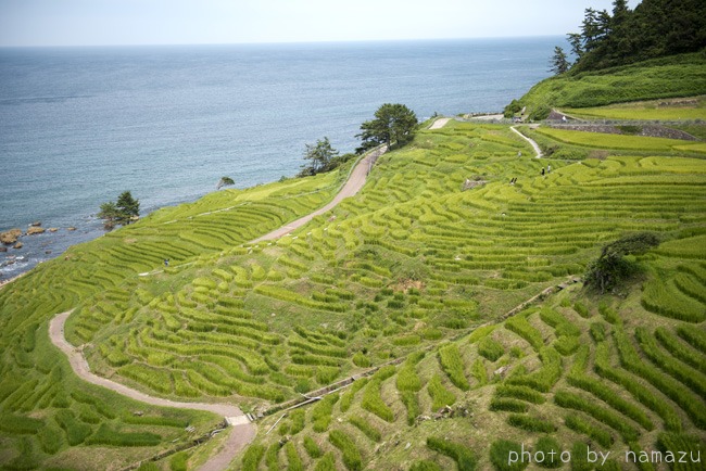 北陸の旅（能登／千里浜・輪島・和倉）_b0280176_9412349.jpg