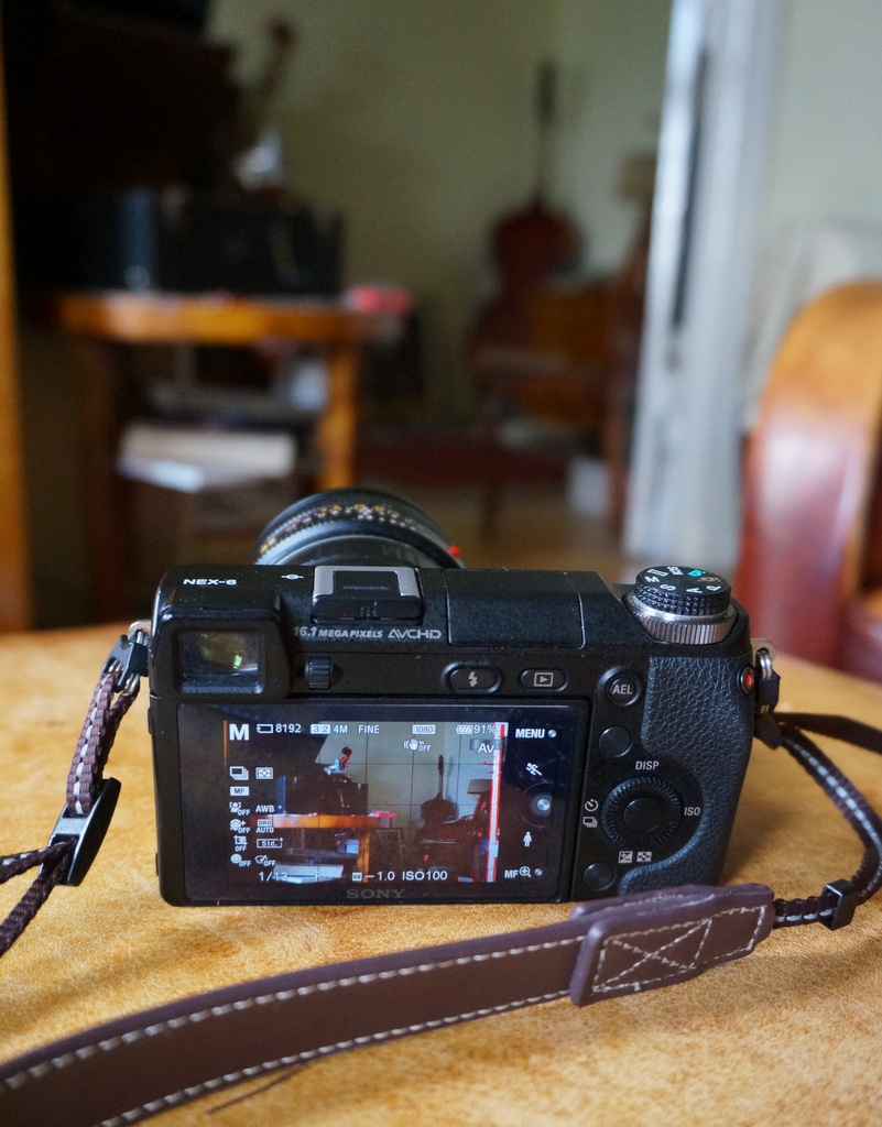 Leica M ≧ NEX6_c0180686_06222004.jpg