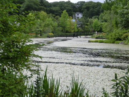 d0312092_12024348.jpg