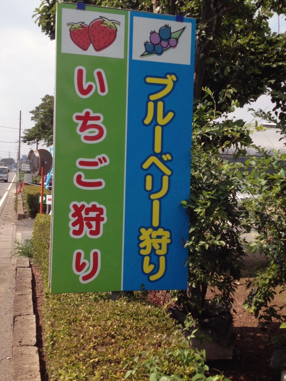 c0004193_1537913.jpg