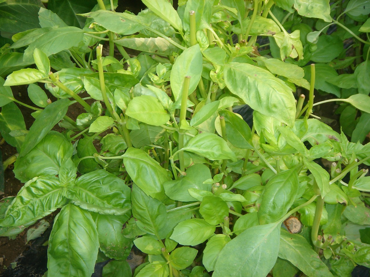 f0120697_9211574.jpg