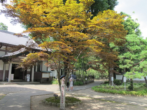日本最古の学校　国指定史跡　足利學校　（２）_c0075701_22105626.jpg