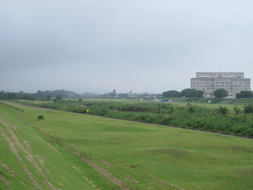 秋を感じ、そぼ降る雨に濡れての朝の散歩、８月２６日（火）・・・１　_c0075701_6395519.jpg